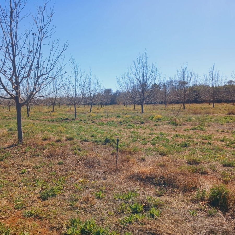 Bedroom Property for Sale in Hartswater Rural Northern Cape